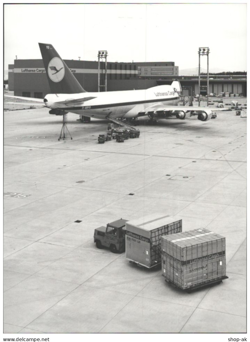 C5682/ Flughafen Frankfurt Lufthansa Cargo  Boeing 747 Flugzeug Foto  1982 - Autres & Non Classés