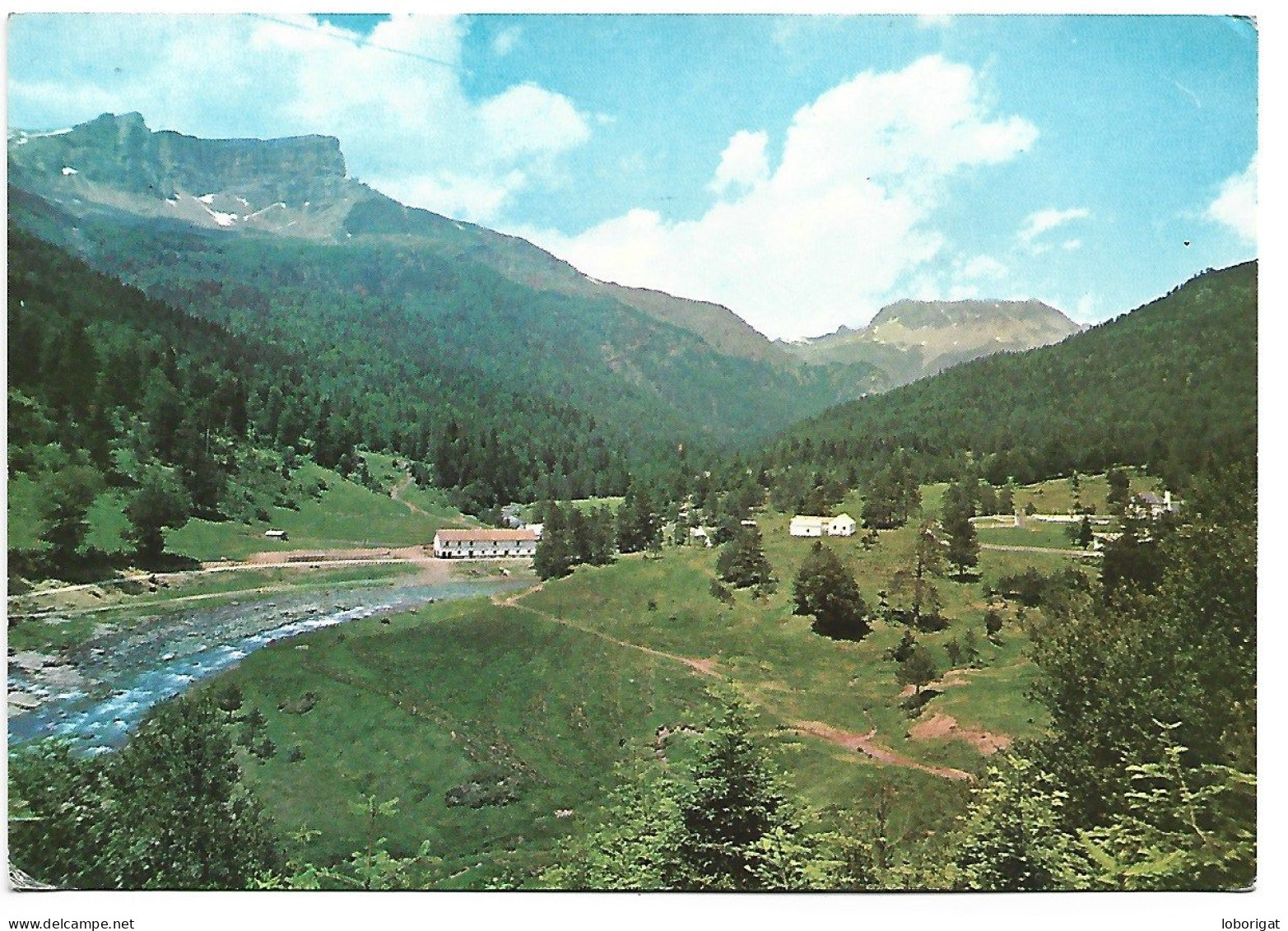 SELVA DE OZA Y PUERTO DEL PALO.-  PIRINEO ARAGONES.- HECHO / HUESCA / ARAGON.- ( ESPAÑA). - Huesca