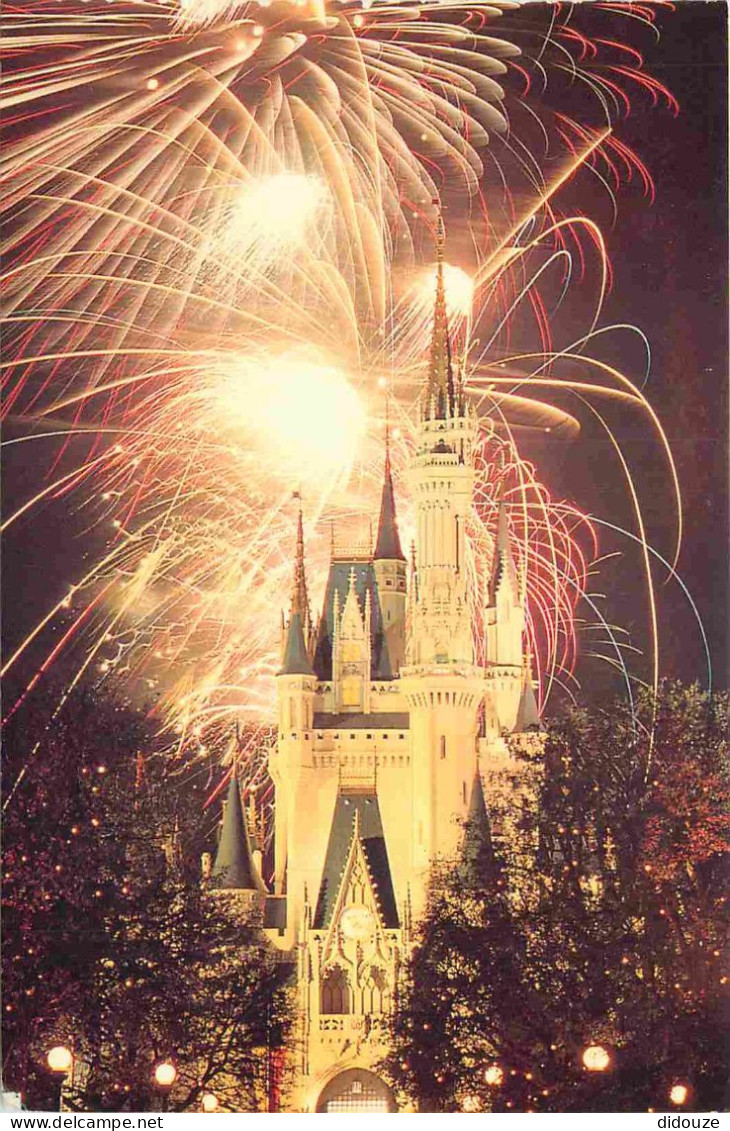 Parc D'Attractions - Walt Disney World - The Night Sky Is Afire At Walt Disney World With Dramatic Fireworks Displays Ov - Disneyworld