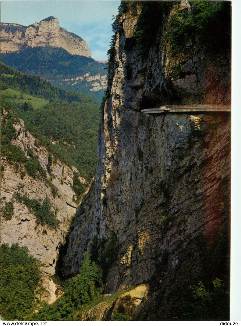 38 - Saint Pierre D'Entremont - Gorges Du Guiers Vif - Le Pas Du Frou - CPM - Carte Neuve - Voir Scans Recto-Verso - Saint-Pierre-d'Entremont