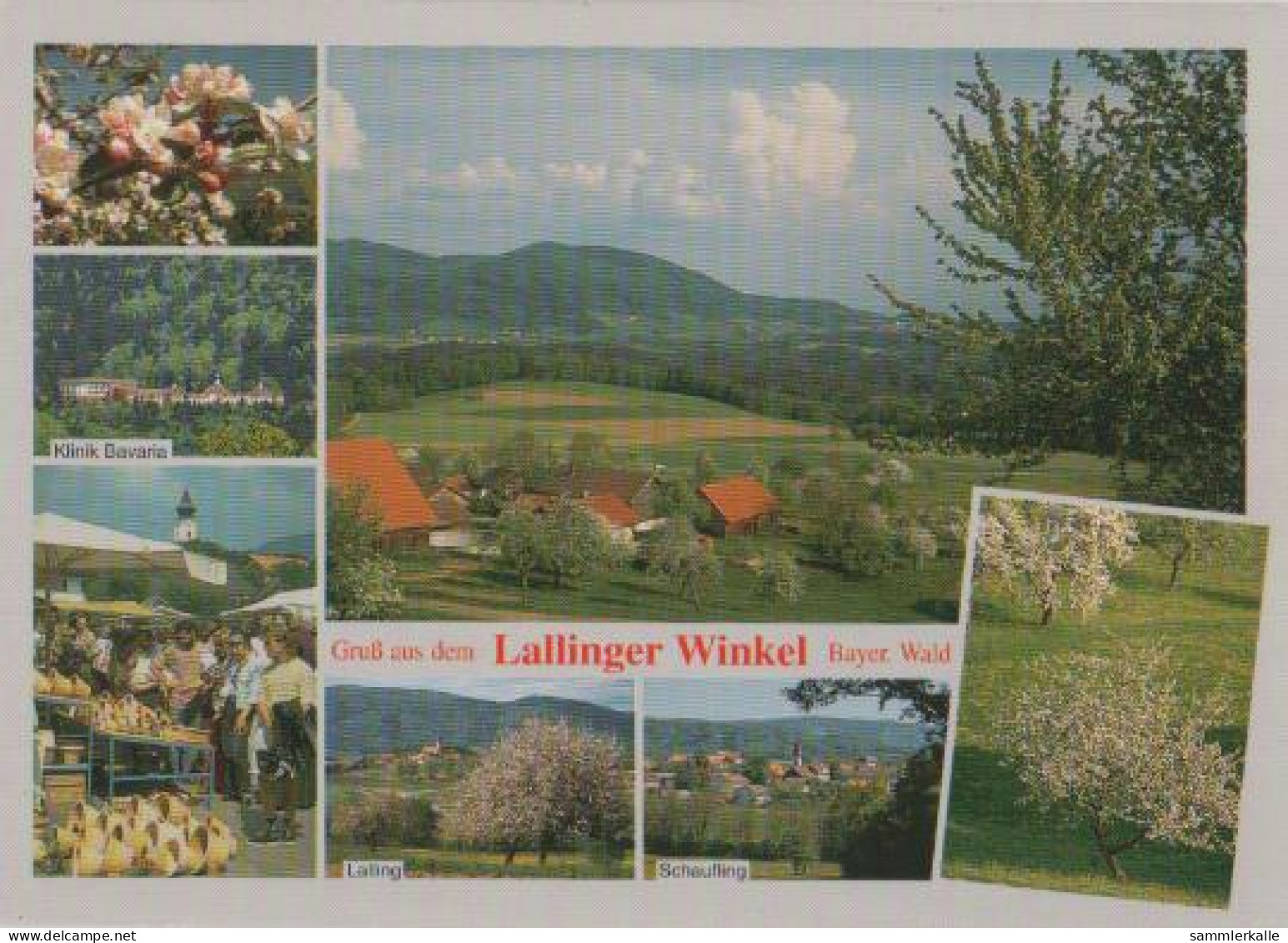 23540 - Lallinger Winkel U.a. Schaufling - Ca. 1995 - Deggendorf