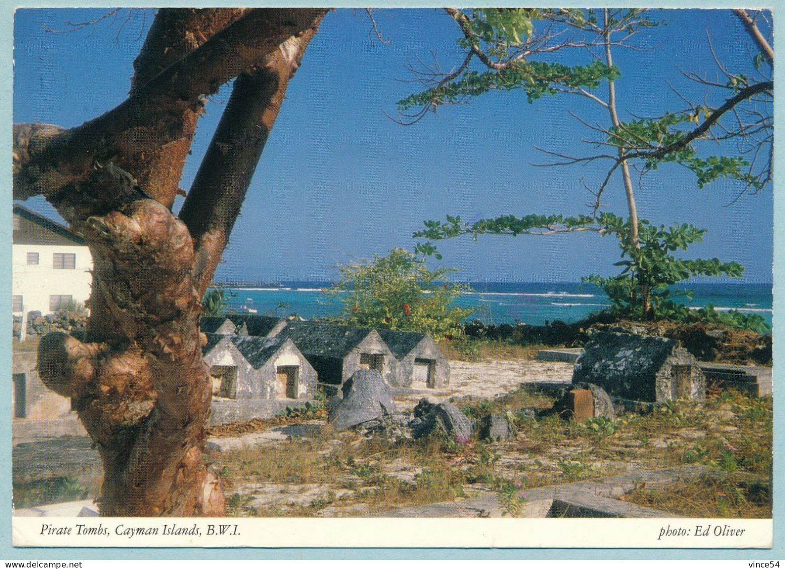 18th CENTURY Pirate Tombs - Cayman Islands - Kaimaninseln