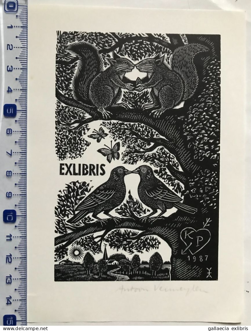 Exlibris Antoon Vermeylen. Arbre Oiseau Papillon Écureuil. Ex-libris Antoon Vermeylen. Tree Bird Butterfly Squirrel - Ex-libris