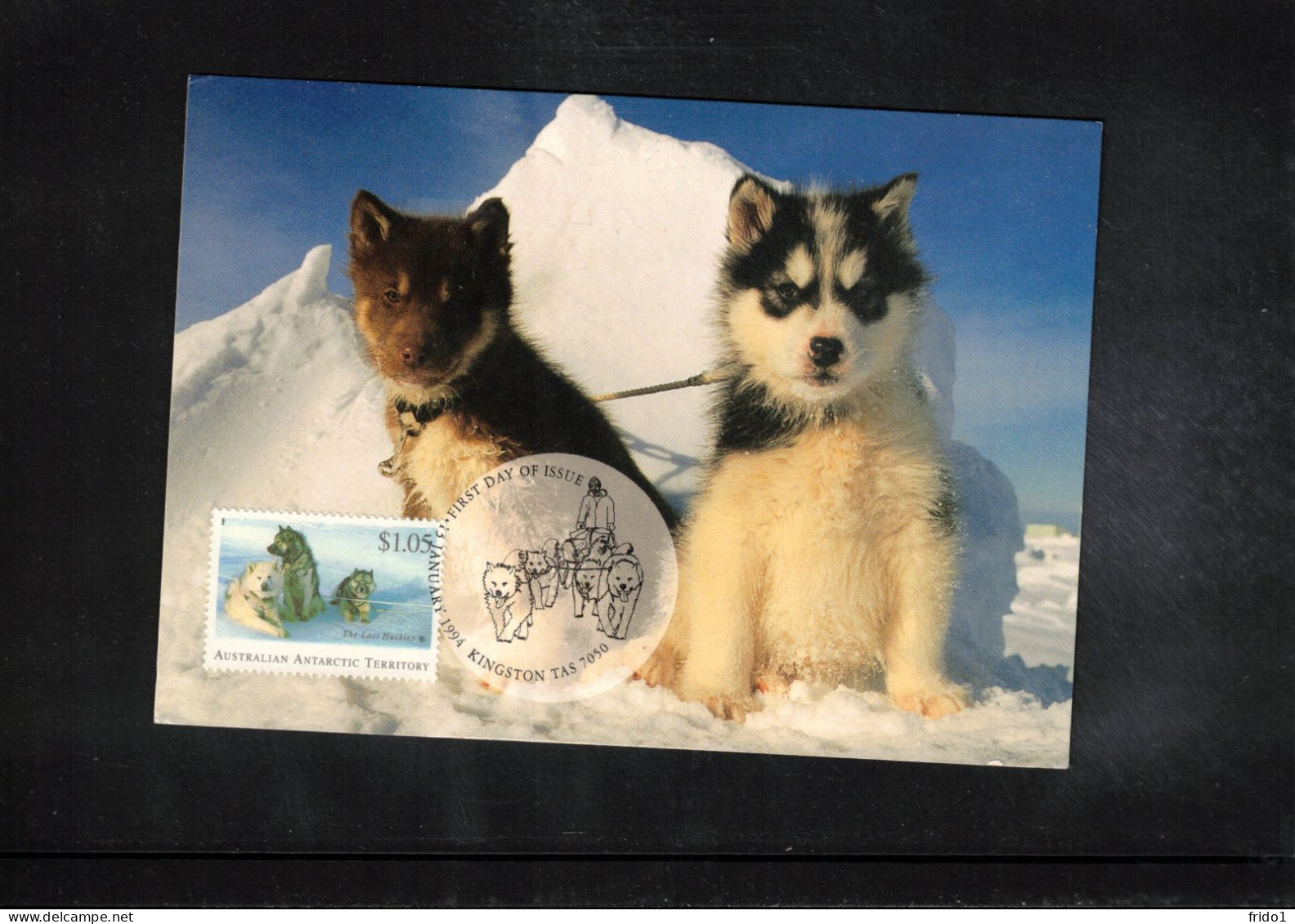 Australian Antarctic Territory 1994 Antarctica - Base Macquarie Island - Rising Sun - Huskies Interesting Letter - Forschungsstationen