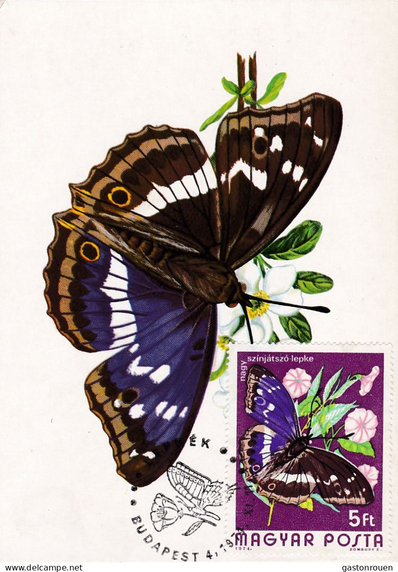Carte Maximum Hongrie Hungary Papillon Butterfly 2399 - Cartoline Maximum