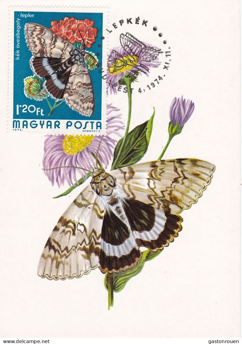 Carte Maximum Hongrie Hungary Papillon Butterfly 2398 - Maximumkaarten