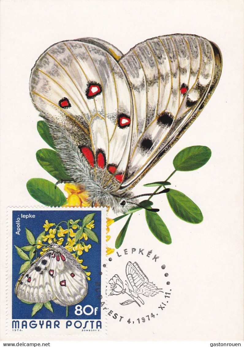 Carte Maximum Hongrie Hungary Papillon Butterfly 2396 - Cartes-maximum (CM)
