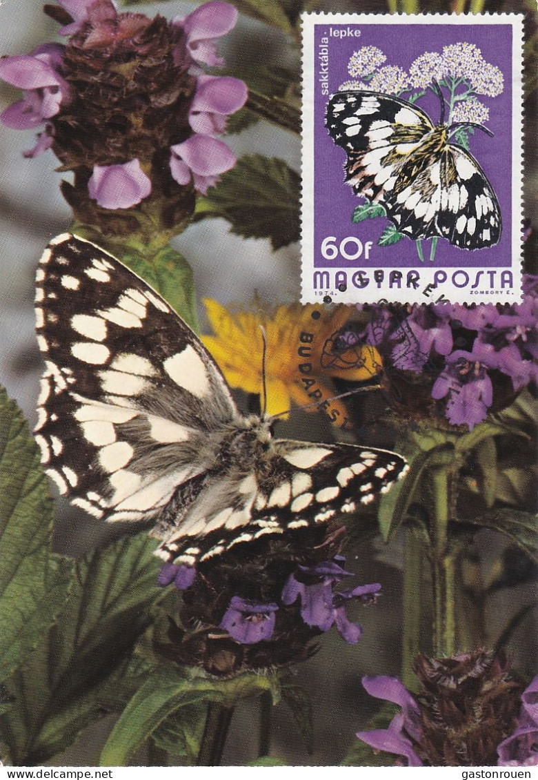 Carte Maximum Hongrie Hungary Papillon Butterfly 2395 - Maximum Cards & Covers