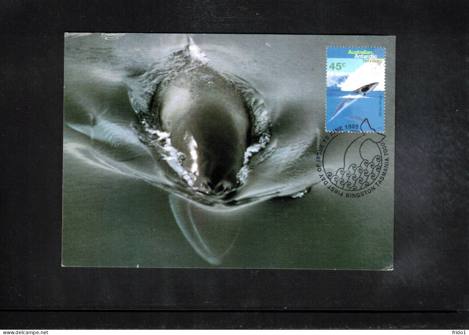 Australian Antarctic Territory 1996 Antarctica - Base Macquarie Island - Ship Polar Bird - Whales - Bases Antarctiques