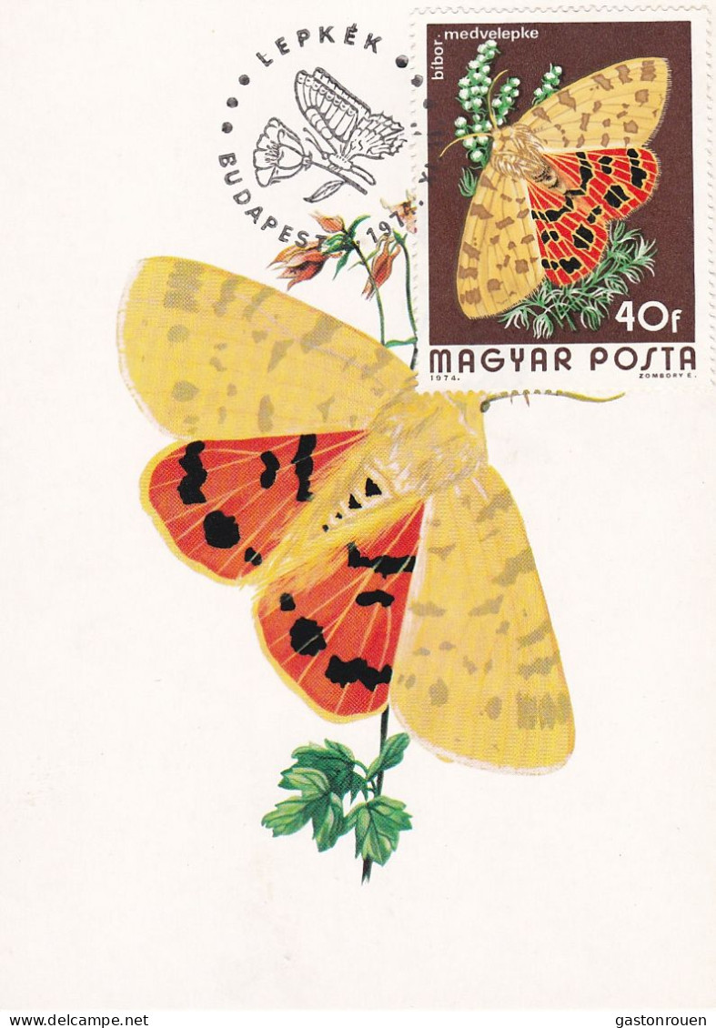 Carte Maximum Hongrie Hungary Papillon Butterfly 2394 - Maximum Cards & Covers