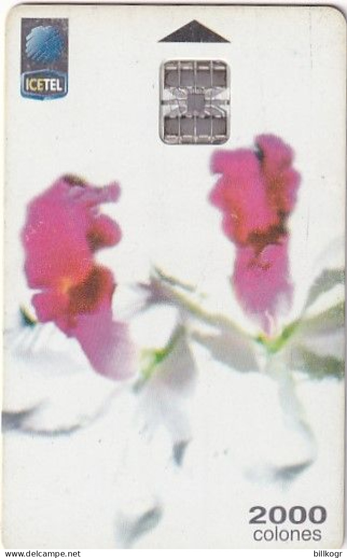 COSTA RICA - Orchids(1st Edition), 03/99, Used - Costa Rica