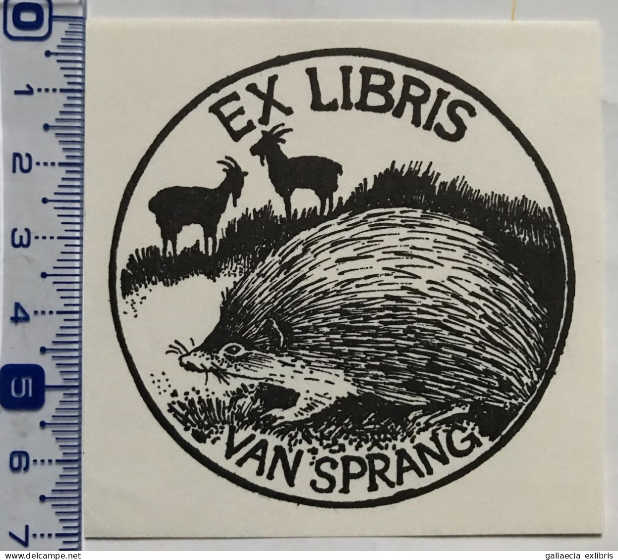 Exlibris Irene De Kok. Chèvre Hérisson. Ex-libris Irene De Kok. Goat Hedgehog - Ex-libris