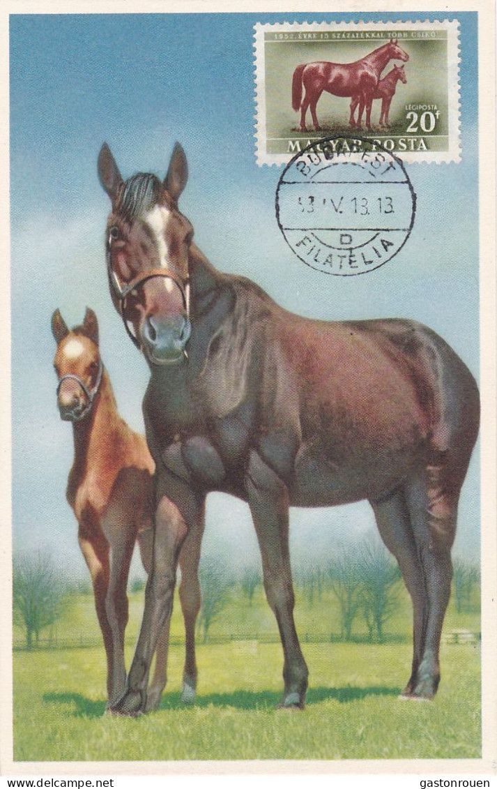 Carte Maximum Hongrie Hungary Cheval Horse  Pa111 - Maximumkarten (MC)