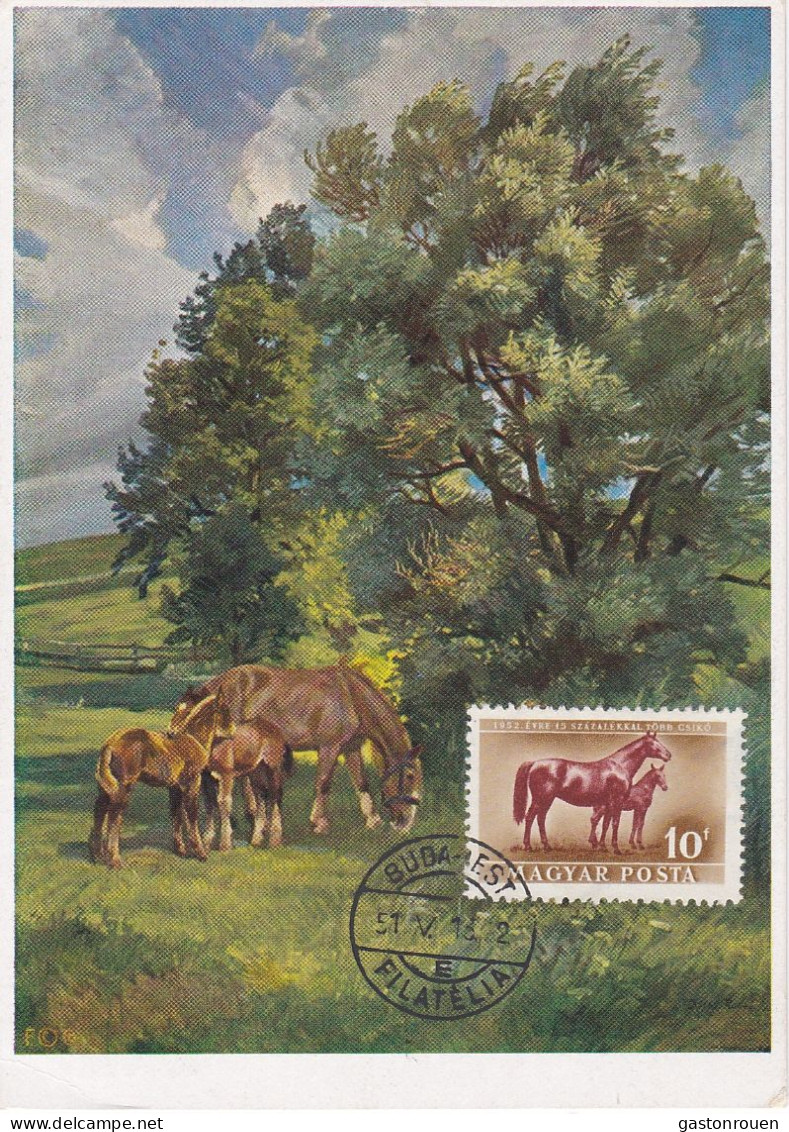 Carte Maximum Hongrie Hungary Cheval Horse  Pa111 - Maximum Cards & Covers