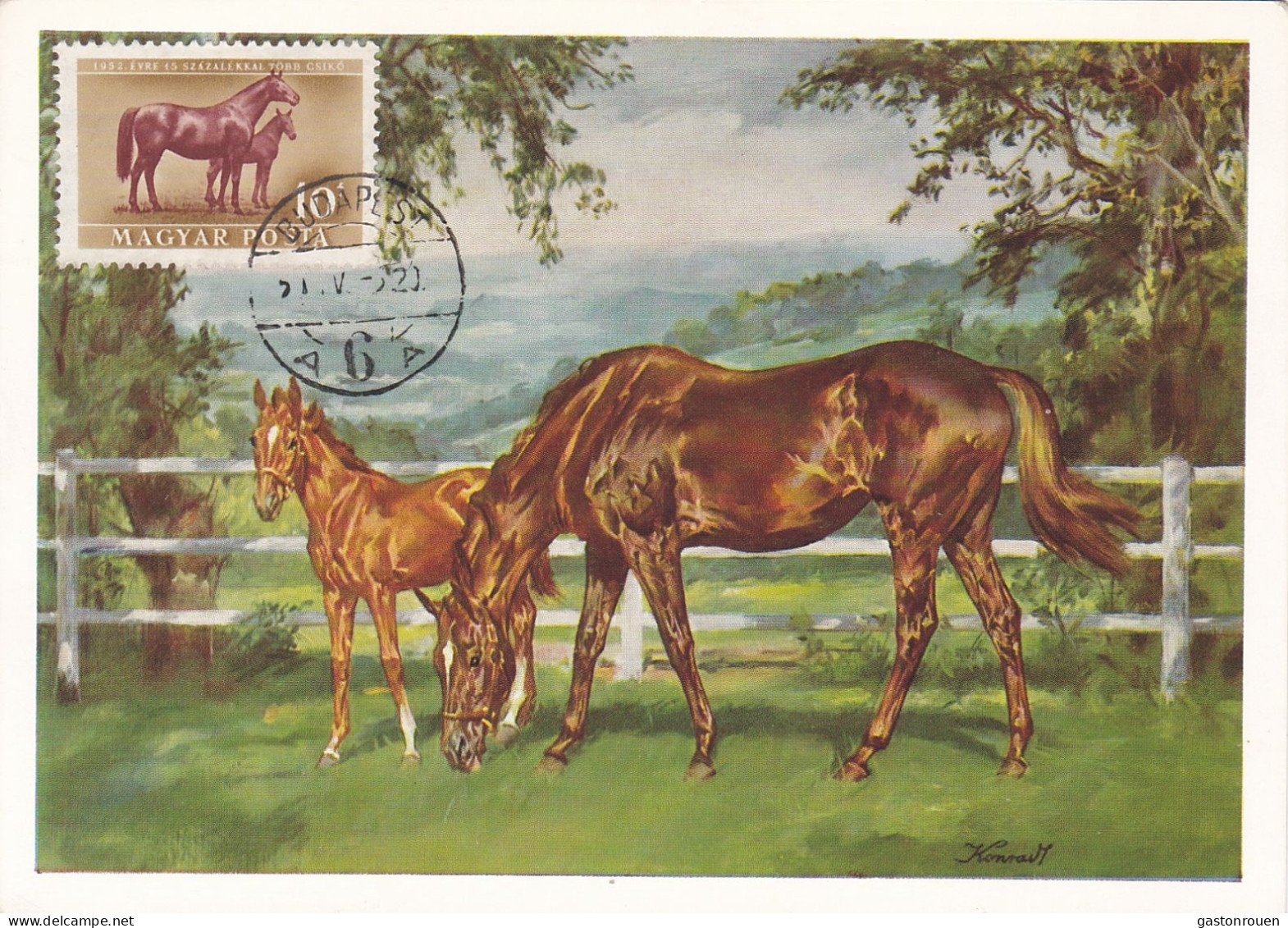 Carte Maximum Hongrie Hungary Cheval Horse  Pa111 - Cartes-maximum (CM)