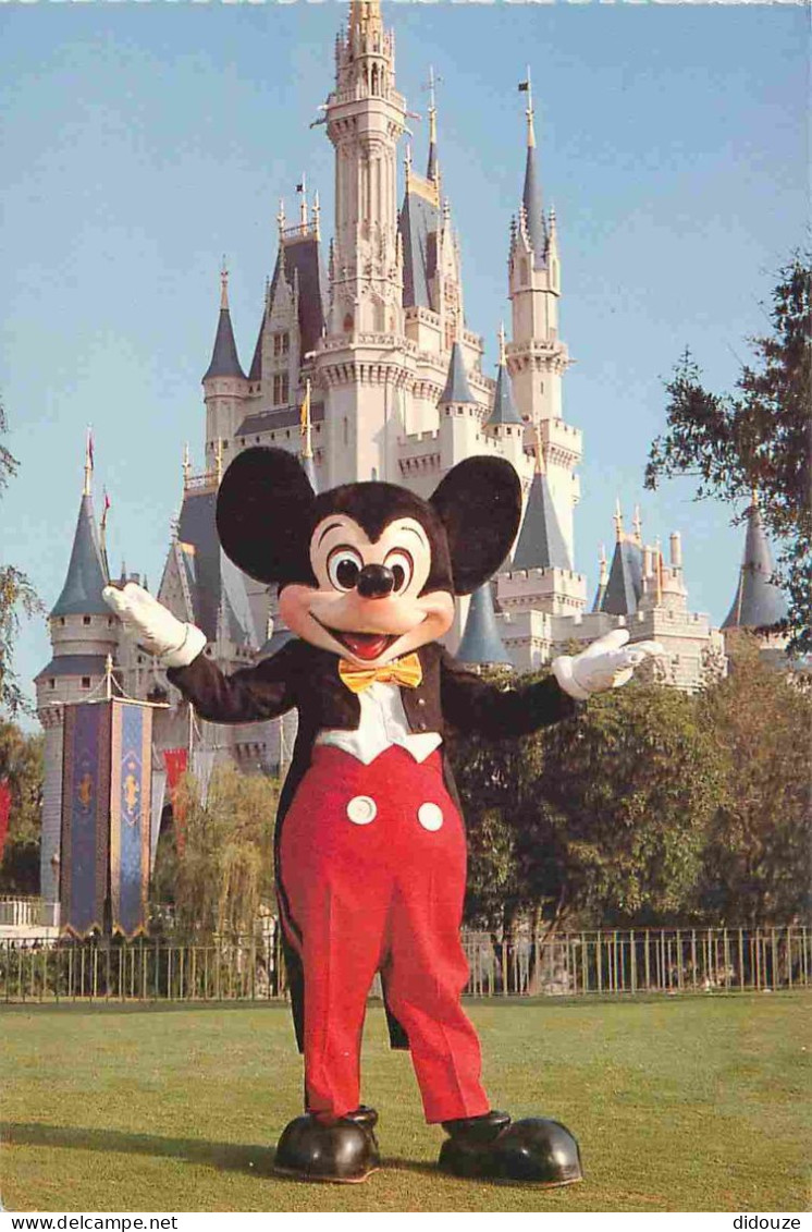 Parc D'Attractions - Walt Disney World - Mickey Mouse - Cinderella's Castle - Château De Cendrillon - CPM - Carte Neuve  - Disneyworld