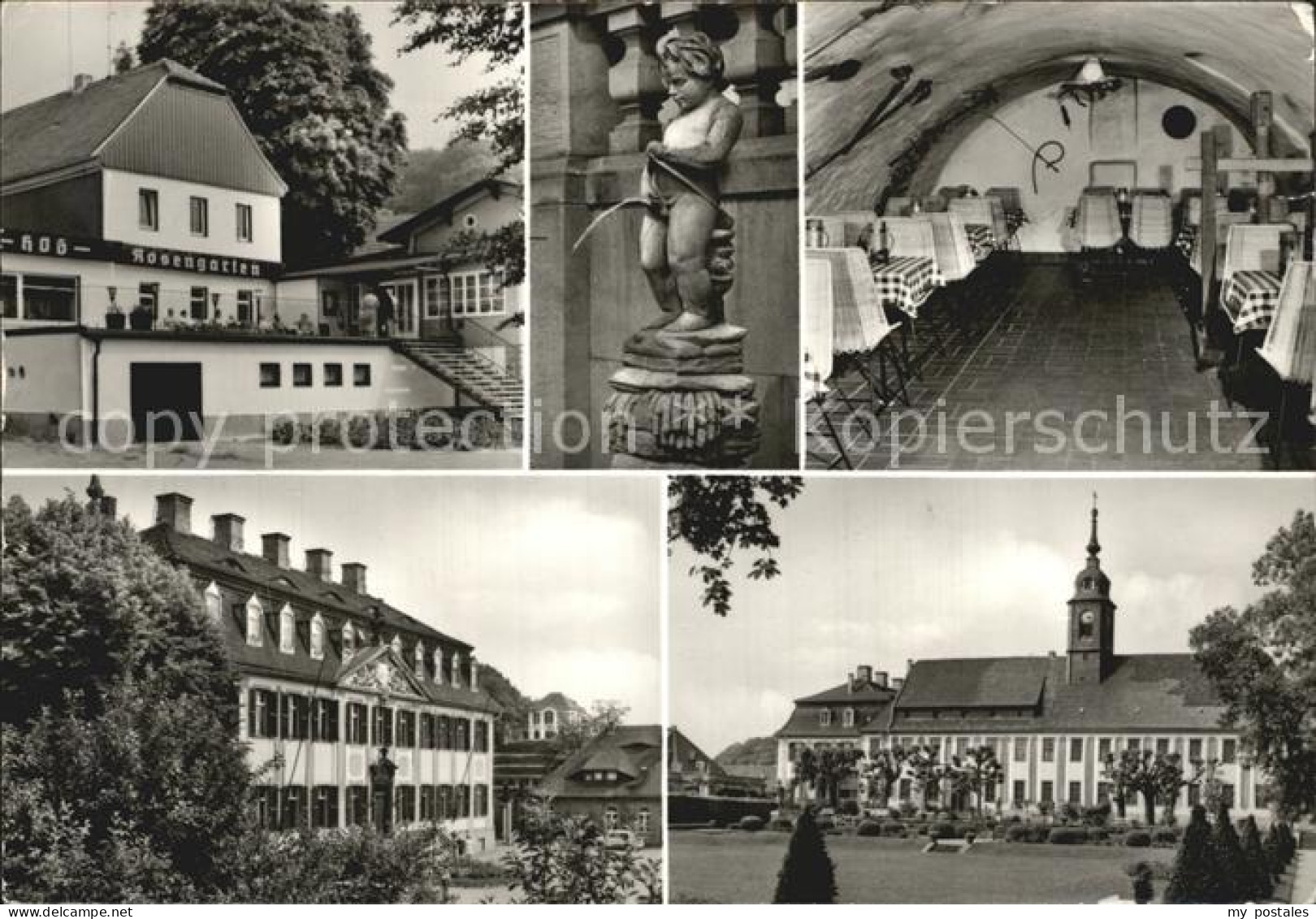 72396826 Diesbar-Seusslitz HOG Rosengarten Schloss Seusslitz  Nuenchritz - Diesbar-Seusslitz