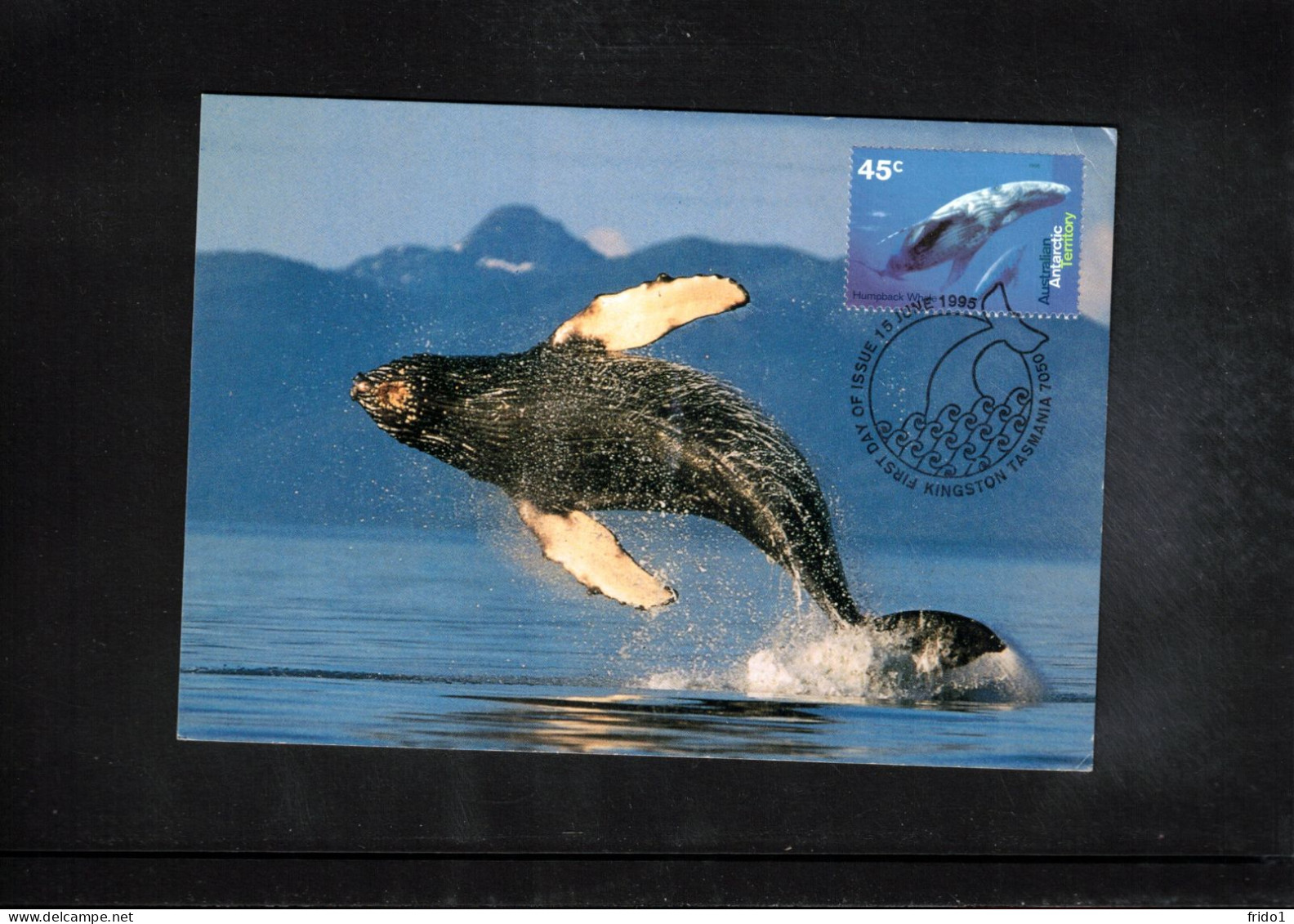 Australian Antarctic Territory 1995 Antarctica - Base Davis - Helicopter Flight - Whales - Bases Antarctiques