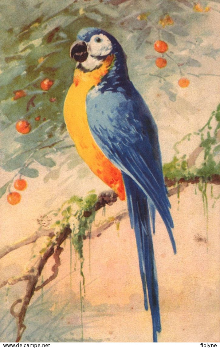 Catharina KLEIN - Cpa Illustrateur - Perroquet - Oiseau - Parrot Bird - Klein, Catharina