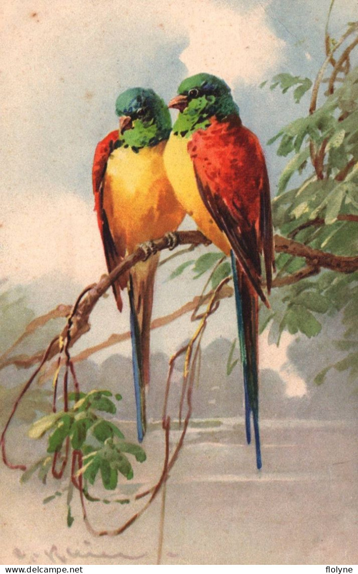 Catharina KLEIN - Cpa Illustrateur - Oiseaux Oiseau - Birds Bird - Klein, Catharina