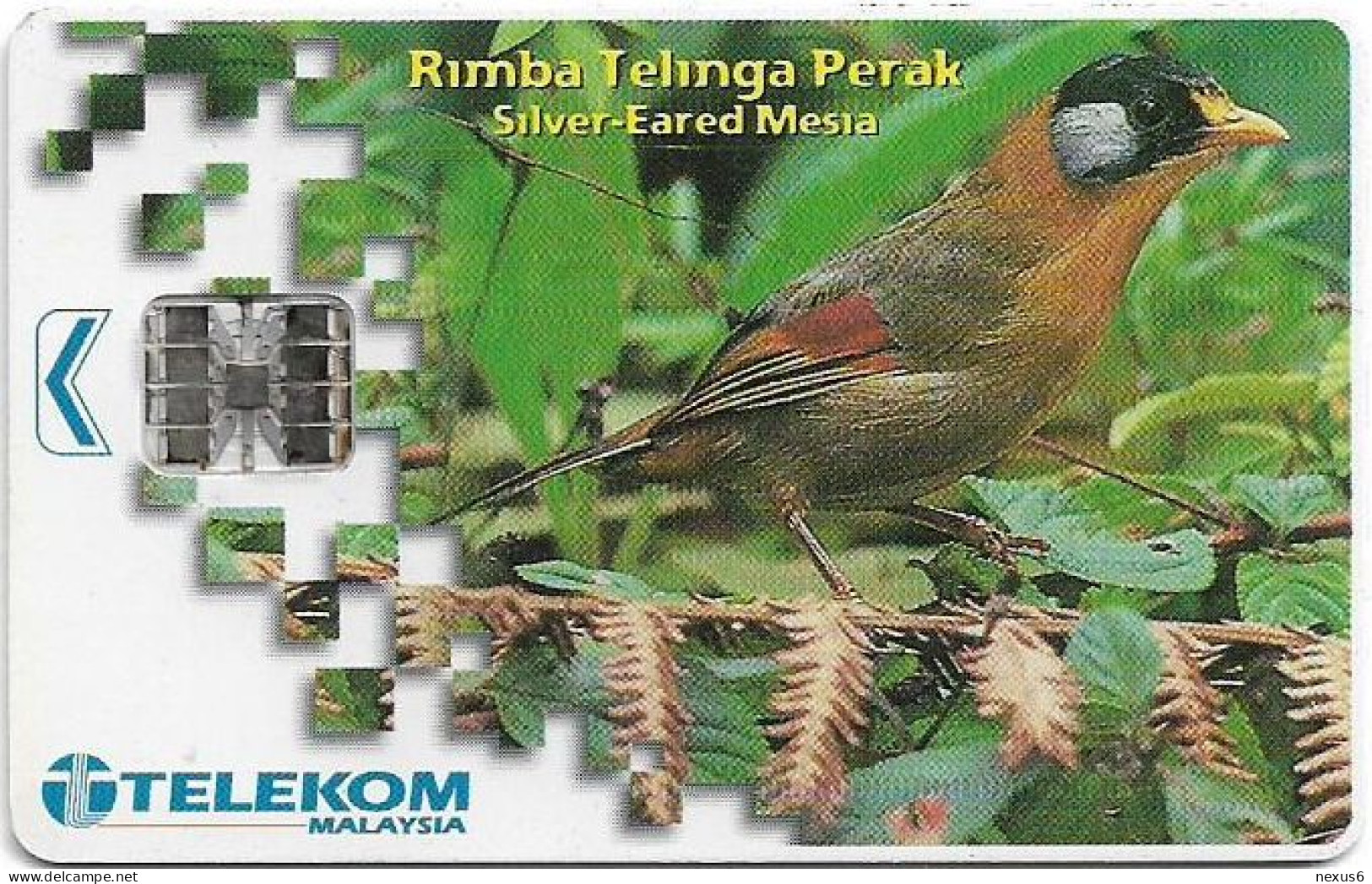 Malaysia - Telekom Malaysia (chip) - Birds - Rimba Telinga Perak, Chip SC7, 20RM, Used - Malasia