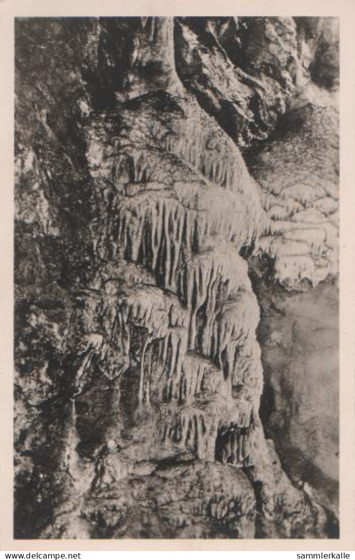 13787 - Bad Grund - Iberger Tropfsteinhöhle - Ca. 1955 - Bad Grund