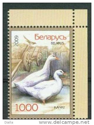 Belarus 2009, Canard Domestique / Domesticated Duck MNH ** - Patos