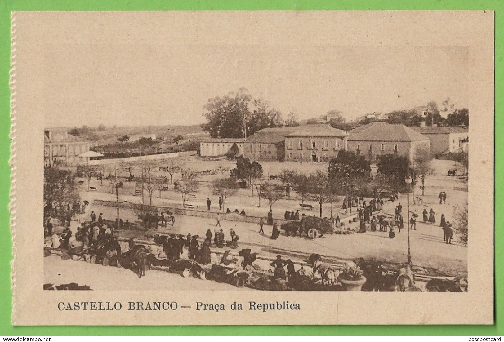 Castelo Branco - Mercado - Feira - Costumes Portugueses - Portugal - Castelo Branco