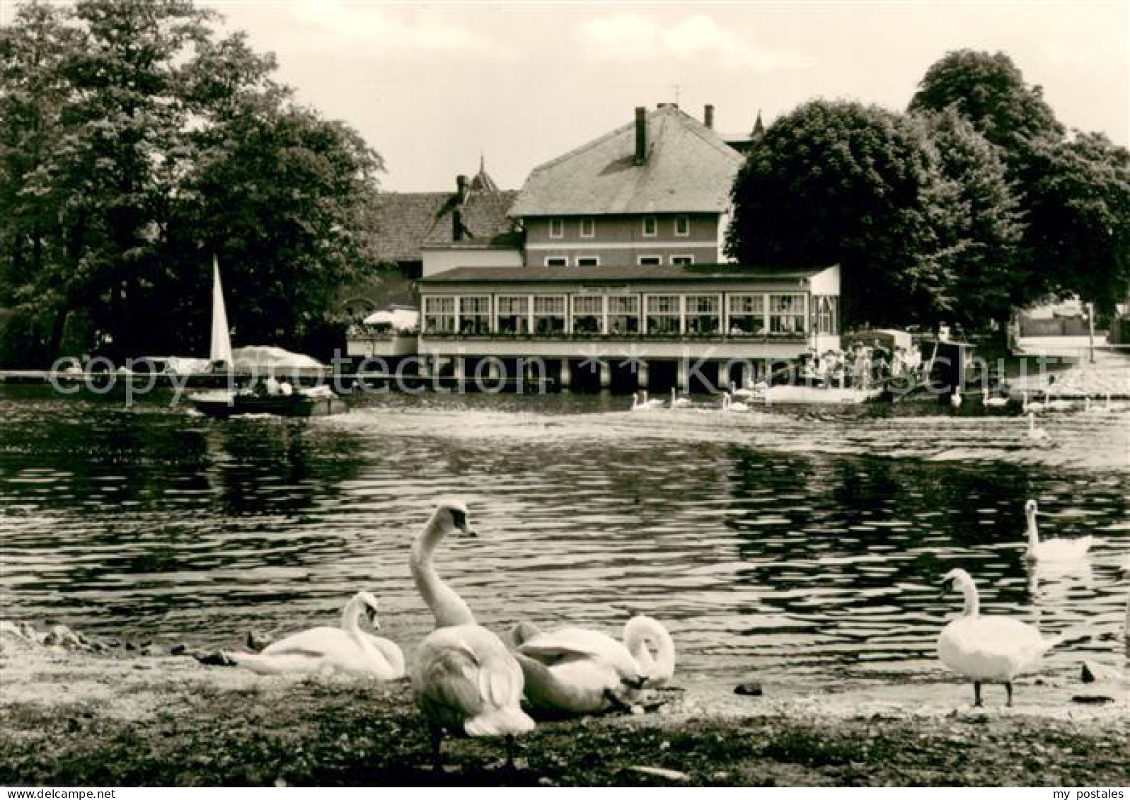 73668947 Caputh Gaststaette Und Cafe Faehrhaus Schwaene Caputh - Ferch