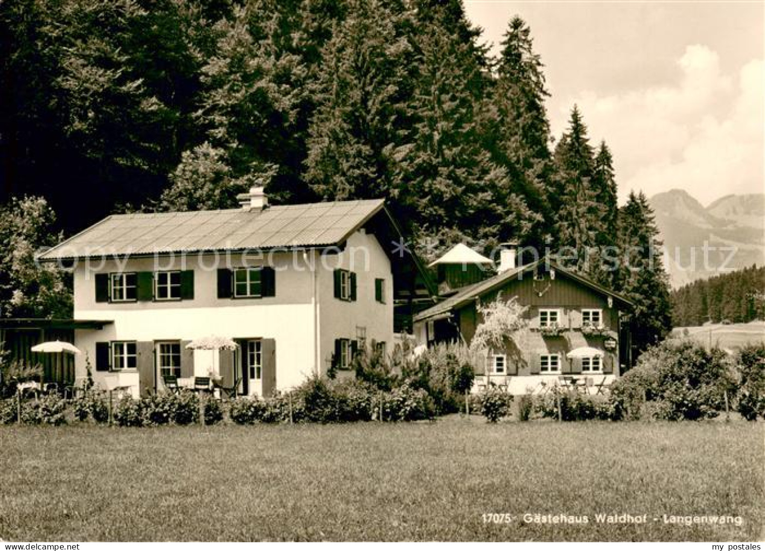 73666333 Langenwang Fischen Oberstdorf G?stehaus Waldhof Langenwang Fischen - Fischen