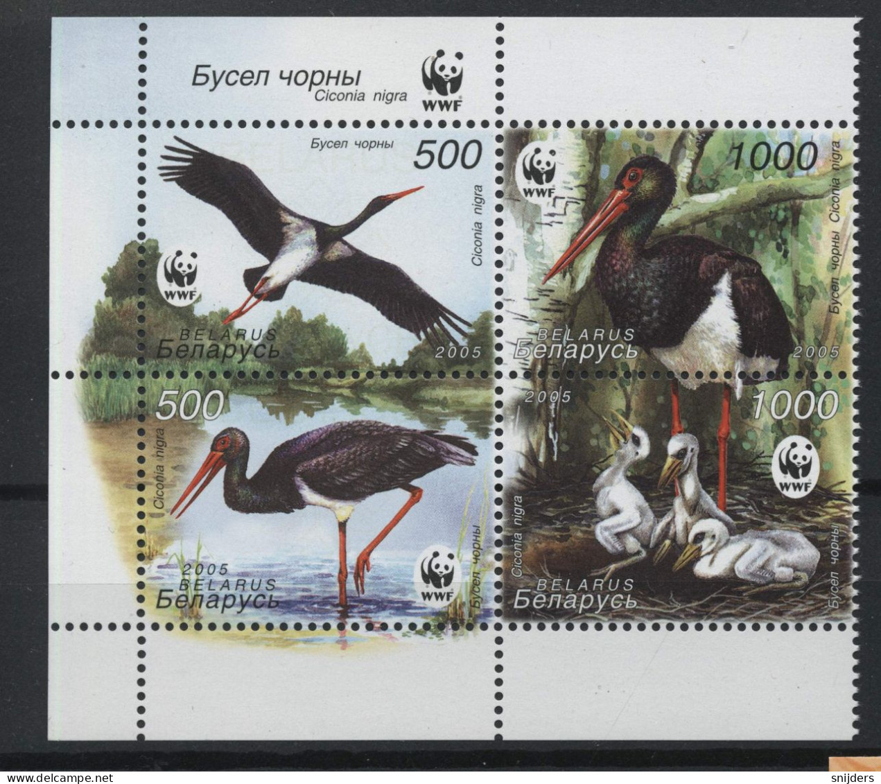 WWF Belarus Reeks  Zwarte Ooievaar  Postfris MNH - Cigognes & échassiers