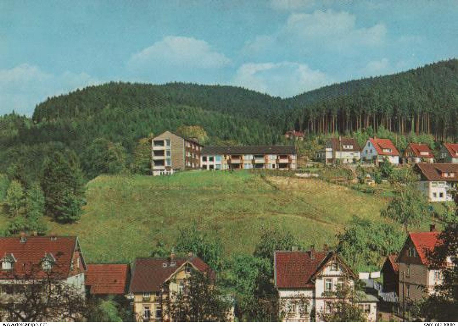 20726 - Bad Grund - Blick Zum Roland - Ca. 1975 - Bad Grund