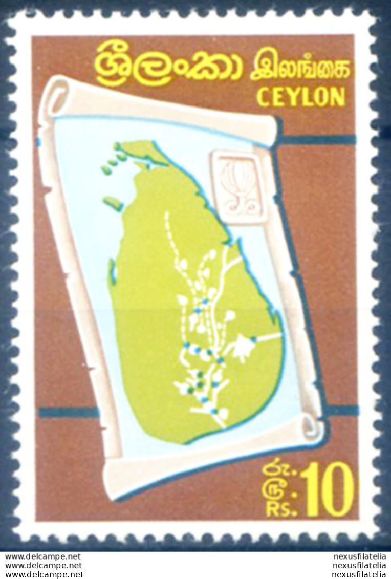 Definitiva. Alto Valore 1969. Linguellato. - Sri Lanka (Ceylon) (1948-...)