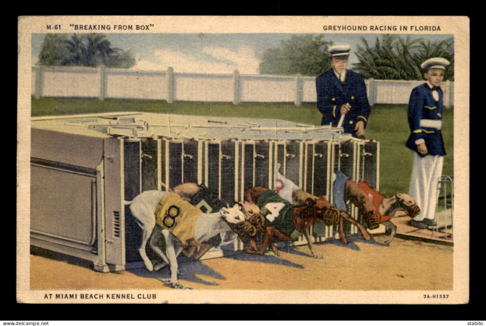 ETATS-UNIS - MIAMI BEACH - KENNEL CLUB - Miami Beach