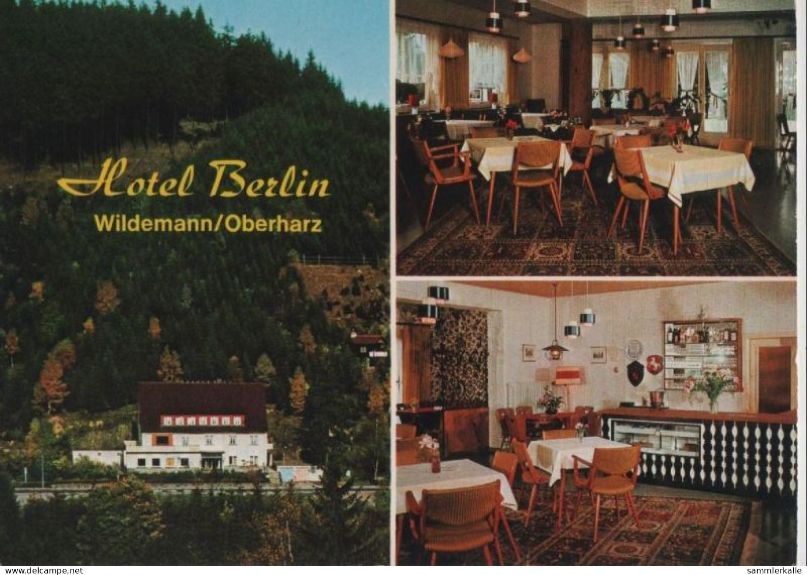 66156 - Wildemann - Hotel Berlin - Ca. 1980 - Wildemann