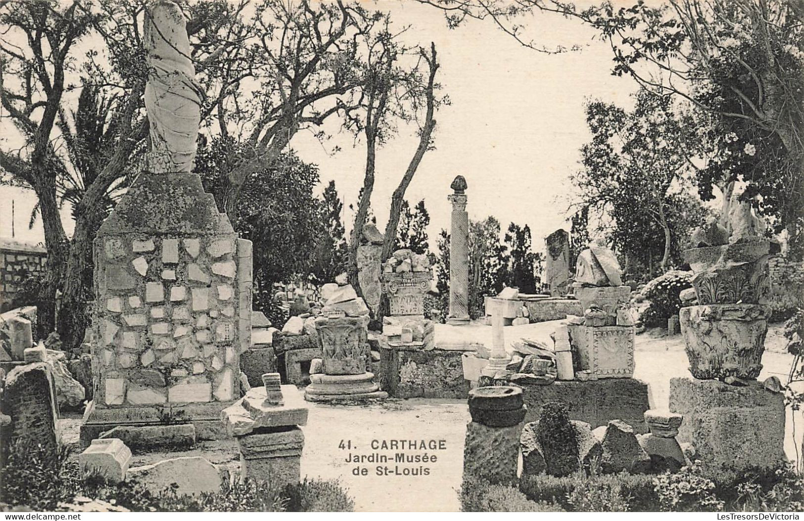 TUNISIE - Carthage - Vue Le Jardin Du Musée De St Louis - Vue D'ensemble - Carte Postale Ancienne - Tunisie