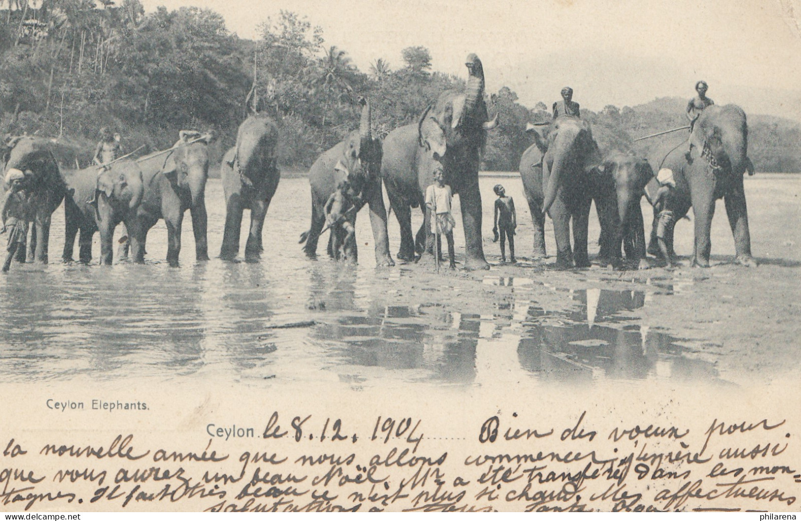 Ceylon: 1904: Picture Post Card: Elephants From Matale To Sonvillier - Sri Lanka (Ceylon) (1948-...)