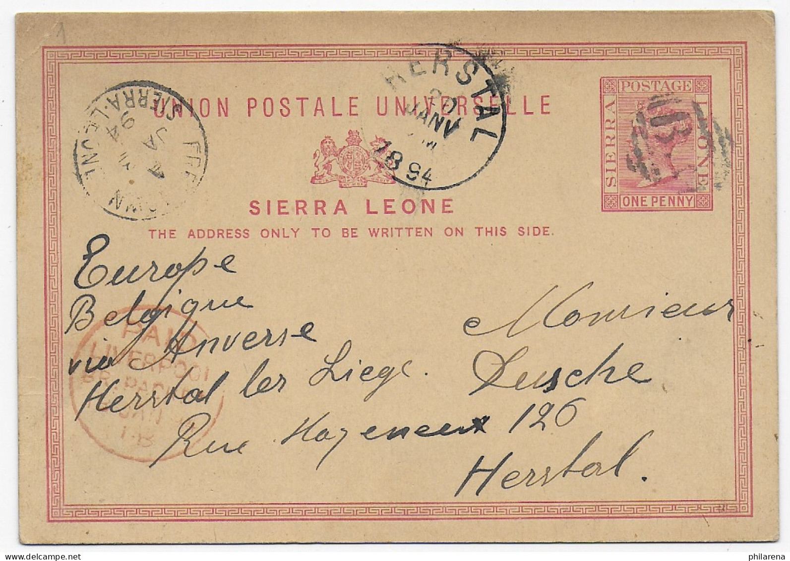 Sierra Leone, Freetown Post Card 1894 To Belgium/Herstal - Sierra Leone (1961-...)