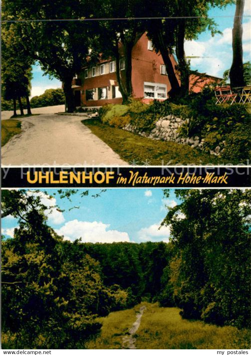 73649230 Holtwick Westfalen Uhlenhof Zur Wacholderheide Im Naturpark Hohe Mark W - Haltern
