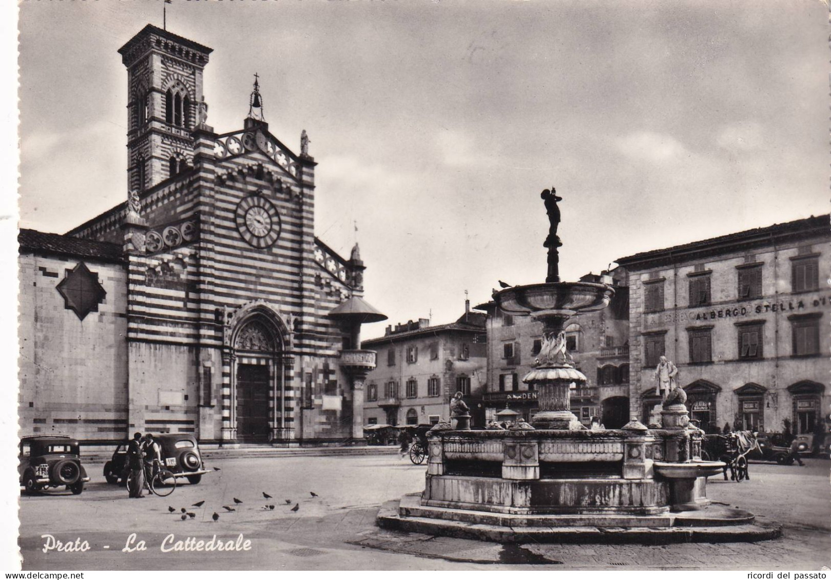 Cartolina Prato - La Cattedrale - Prato