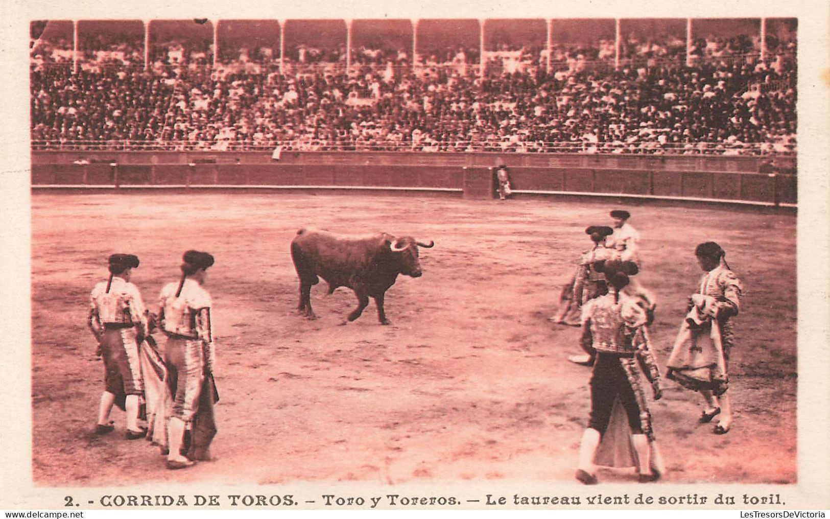 CORRIDA - Corrida De Toros - Toro Y Toreros - Le Taureau Vient De Sortir Du Toril - Animé - Carte Postale Ancienne - Corridas