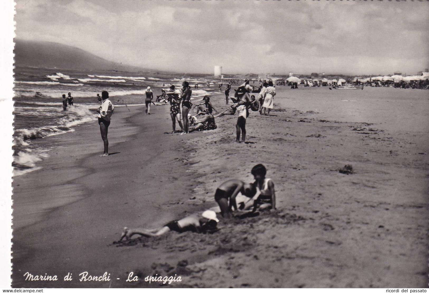 Cartolina Marina Di Ronchi ( Massa E Carrara ) La Spiaggia - Massa