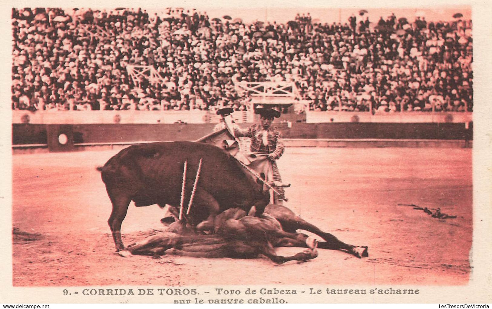 CORRIDA - Corrida De Toros - Toro De Cabeza - Le Taureau S'acharne Avec Le Pauvre Caballo - Carte Postale Ancienne - Stierkampf