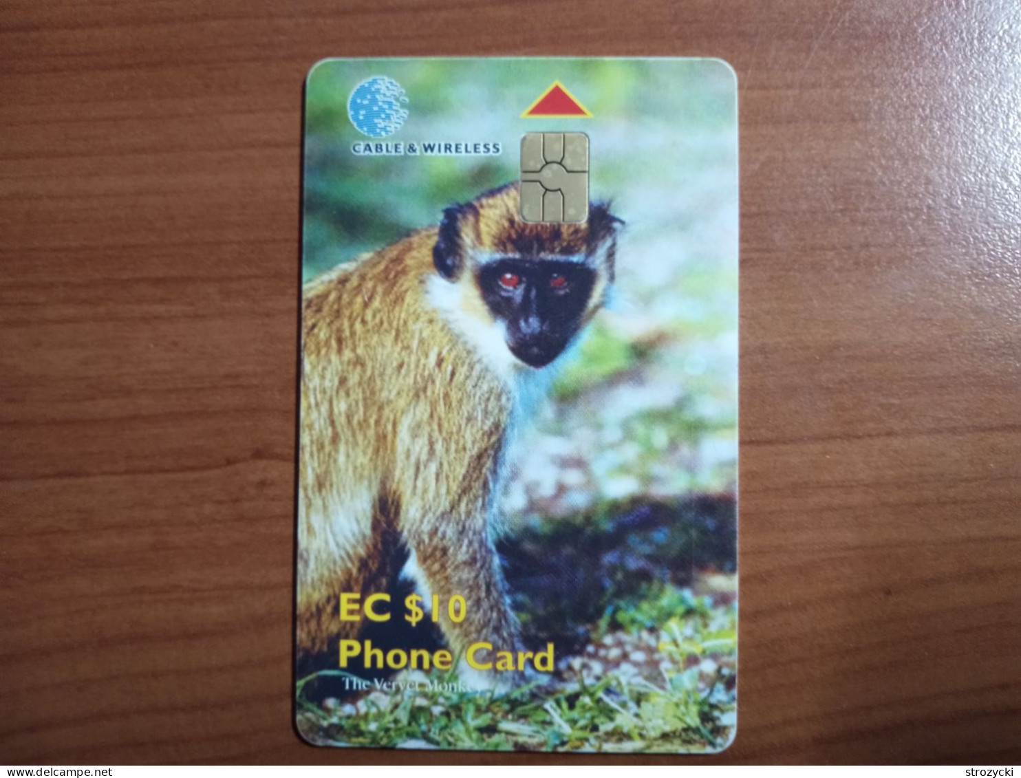 St. Kitts & Nevis - Monkey - St. Kitts & Nevis