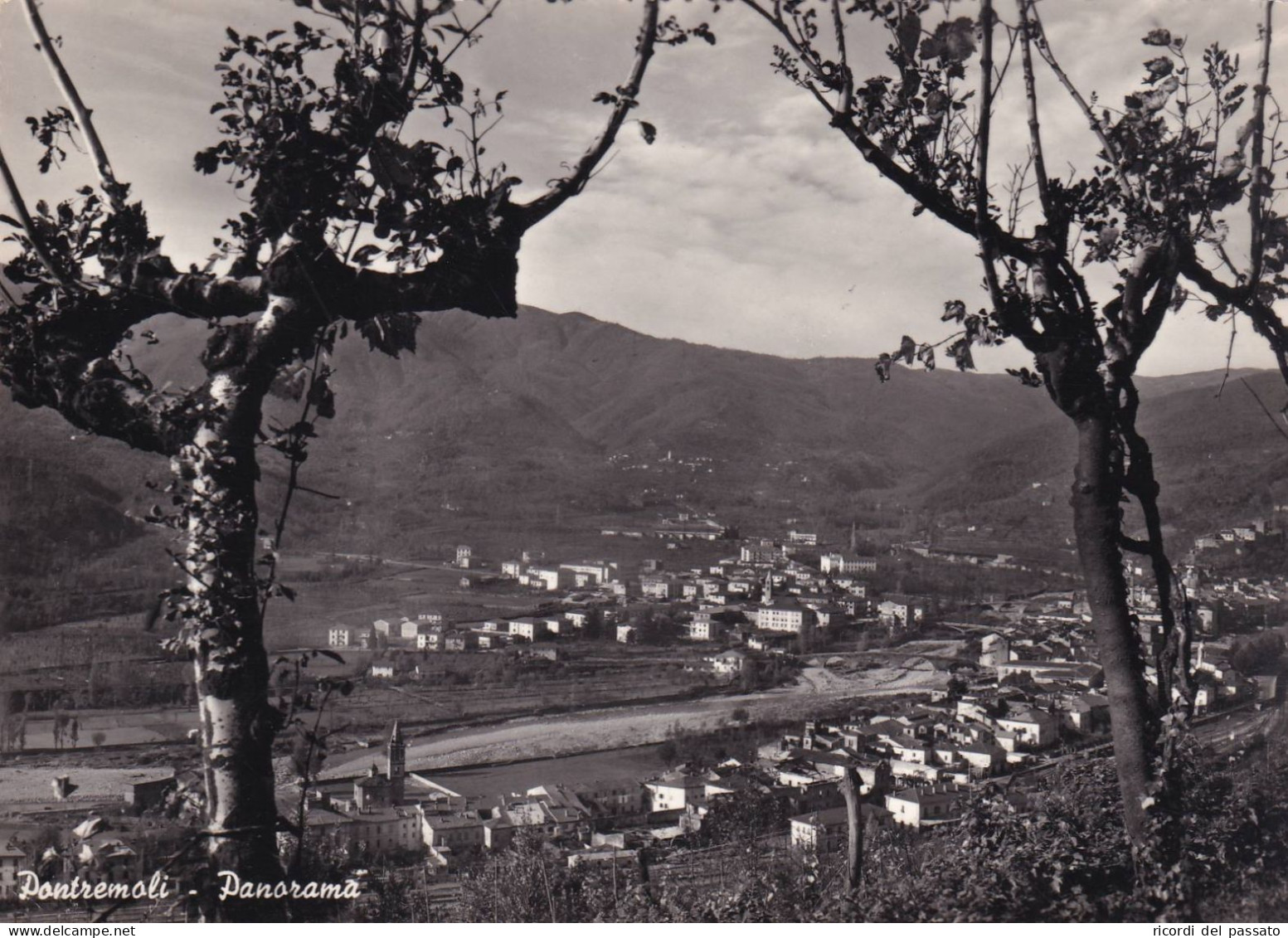 Cartolina Pontremoli ( Massa Carrara ) Panorama - Massa