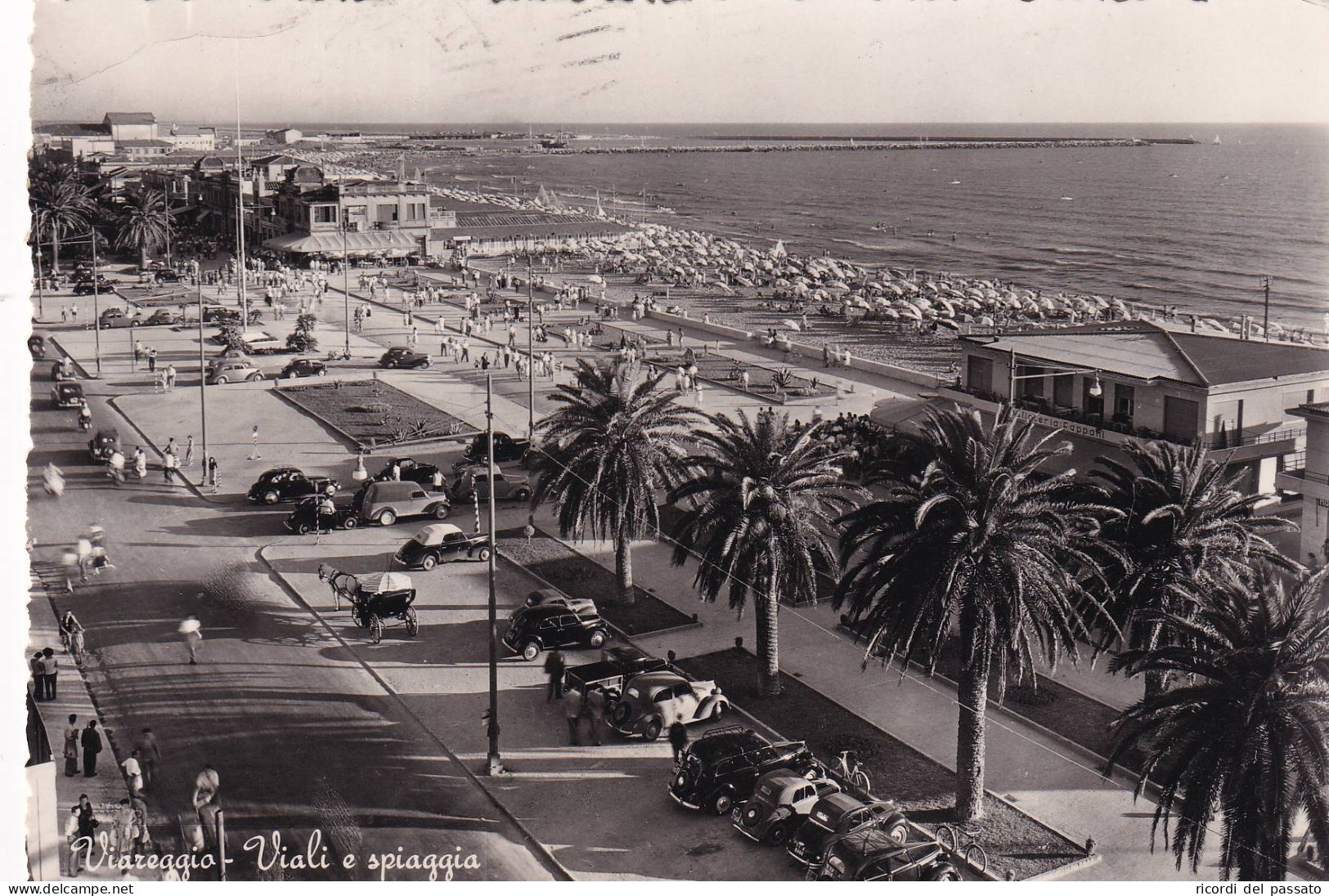 Cartolina Viareggio - Viali E Spiaggia - Viareggio