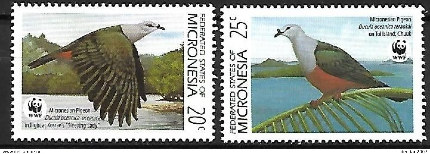 Micronesia - MNH ** 1990 :  Micronesian Imperial Pigeon  -  Ducula Oceanica - Palomas, Tórtolas