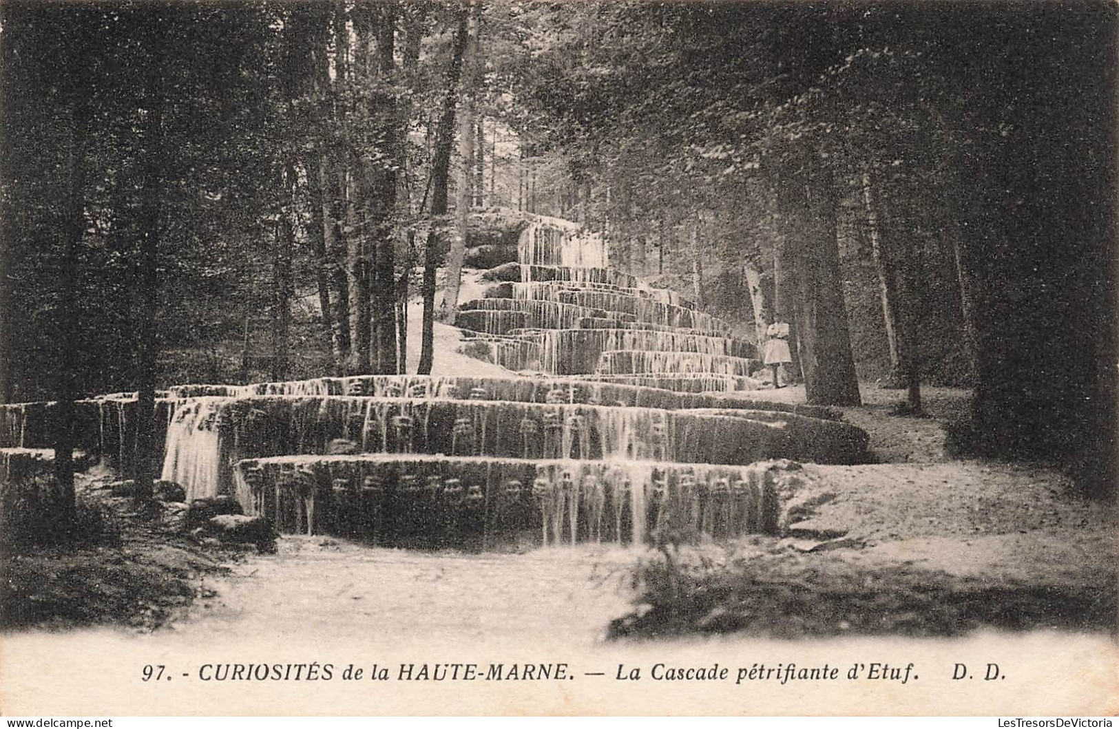 FRANCE - Curiosité De La Haute Marne - La Cascade Pétrifiante D'Etuf - D.D  - Carte Postale Ancienne - Sonstige & Ohne Zuordnung