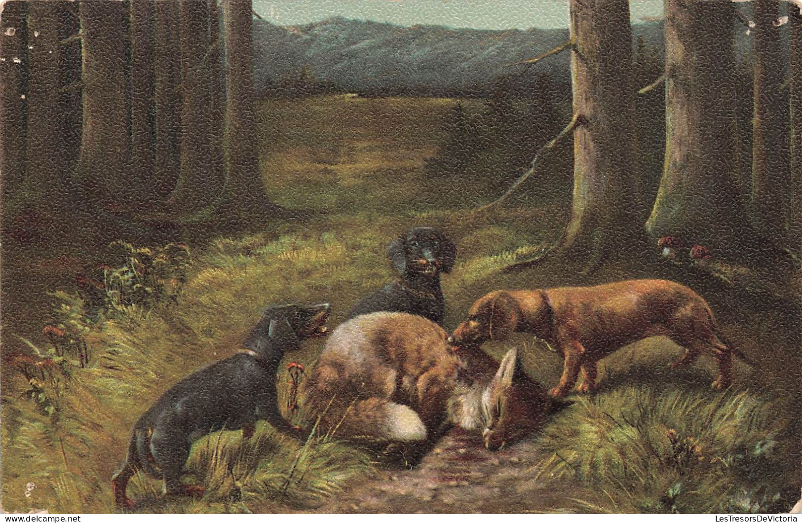 ANIMAUX - Renard - Chiens De Chasse - Chasse - Carte Postale Ancienne - Dogs