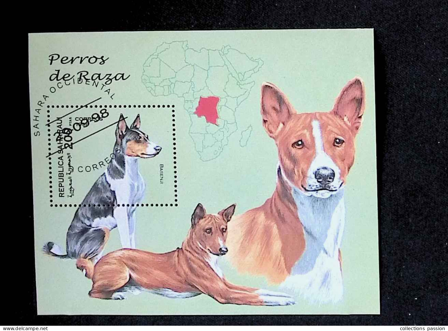 CL, Block, Bloc, Republica Saharaui, Sahara Occidental, 29-09-98, Chiens, Basenji, Perros De Raza - Sonstige - Afrika